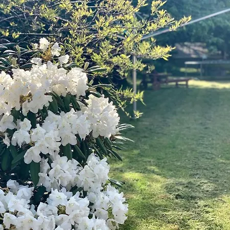 Luznice 度假居 *