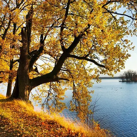 Prázdninový dům Luznice