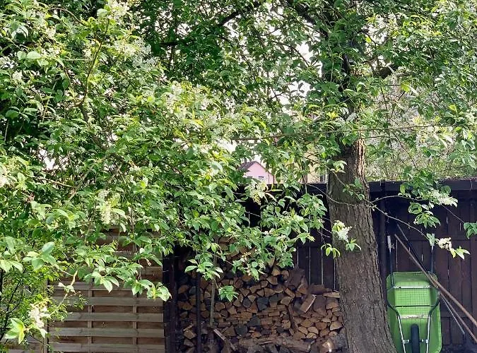Luznice Semesterbostad Třeboň