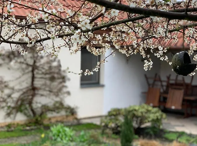 度假居 Luznice